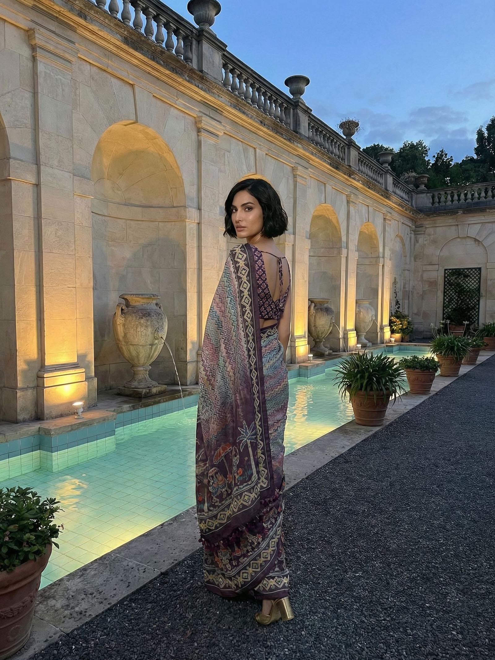 Elephant’s Echo Saree